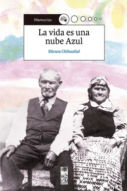 Elicura Chihuailaf La vida es una nube azul обложка книги