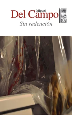 Miguel Ignacio Del Campo Zaldívar Sin redención обложка книги