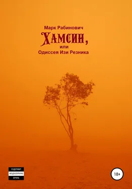 Марк Рабинович Хамсин, или Одиссея Изи Резника обложка книги