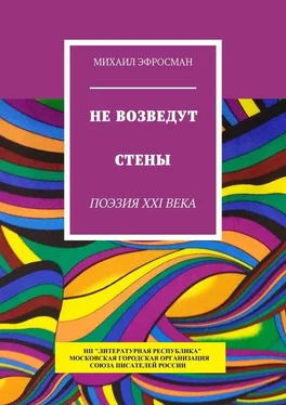 Михаил Эфросман Не возведут стены. Поэзия XXI века обложка книги