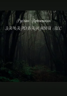 Руслан Артюшкин Зачарованный лес