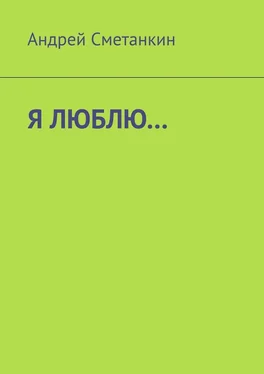 Андрей Сметанкин Я ЛЮБЛЮ… обложка книги