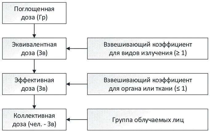 Рис 62 Дозовые величины используемые в радиационной гигиене 3 Сравним два - фото 30