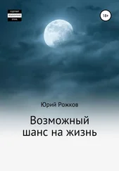 Юрий Рожков - Возможный шанс на жизнь