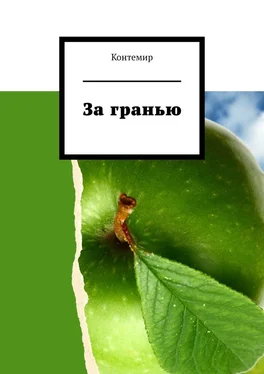 Контемир За гранью обложка книги