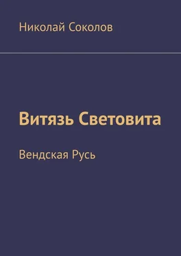 Николай Соколов Витязь Световита. Вендская Русь обложка книги