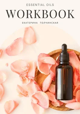 Екатерина Толчинская Essential oils workbook обложка книги