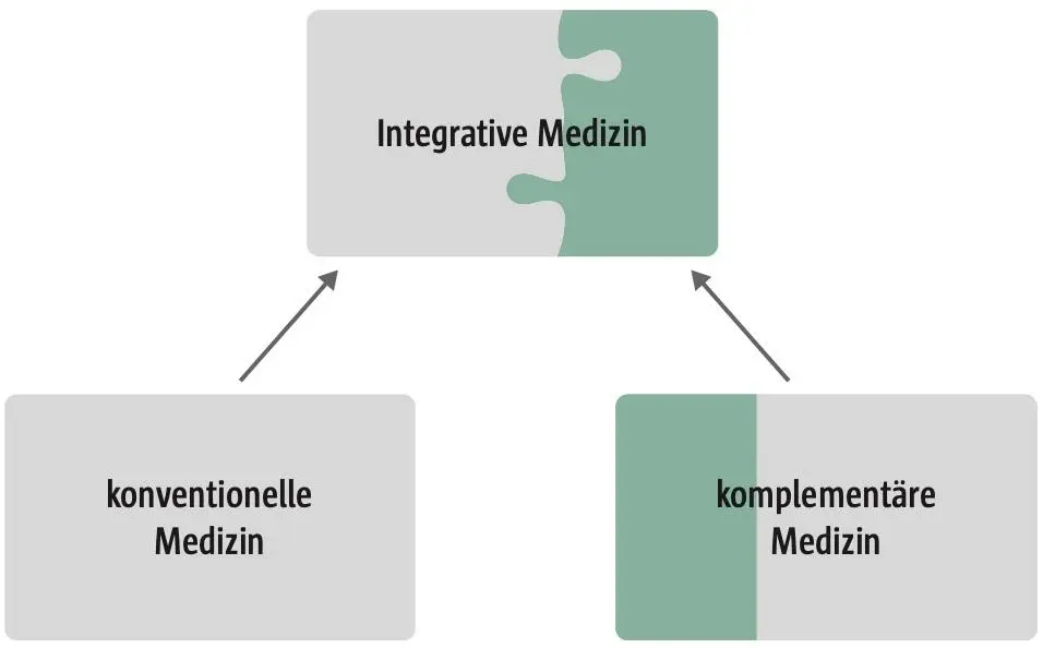 Abb 2 Integrative Medizin Willich 2009 Abb 3 Integrative Medizin ergänzt - фото 19