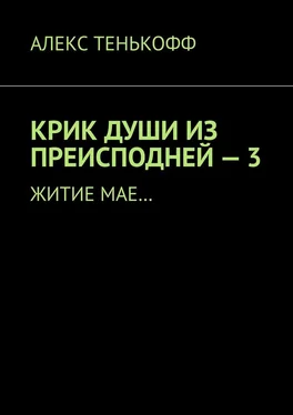 АЛЕКС ТЕНЬКОФФ КРИК ДУШИ ИЗ ПРЕИСПОДНЕЙ – 3. Житие мае… обложка книги