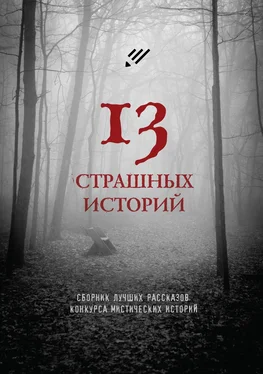 Артур Раин 13 страшных историй обложка книги