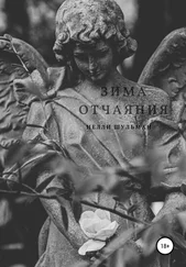 Нелли Шульман - Зима отчаяния