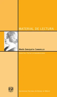 María Enriqueta Camarillo María Enriqueta Camarillo обложка книги