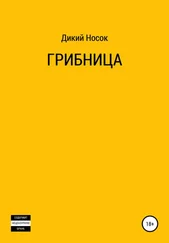 Дикий Носок - Грибница