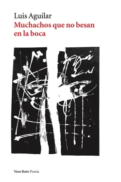 Luis Aguilar Muchachos que no besan en la boca обложка книги