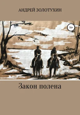 Андрей Золотухин Закон полена обложка книги