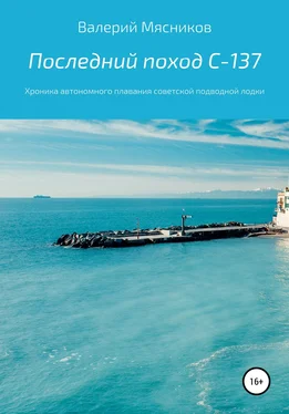 Валерий Мясников Последний поход С-137 обложка книги