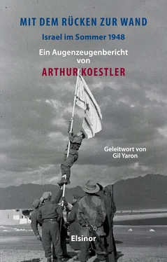Arthur Koestler Mit dem Rücken zur Wand обложка книги