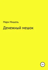 Мари Мишель - Денежный мешок