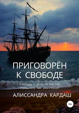 Алиссандра Кардаш Приговорён к свободе обложка книги