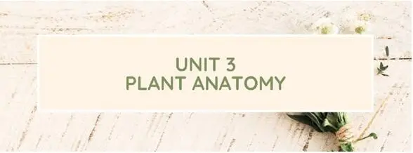 1 Study the names of flowers and give Russian equivalents 2 Check the - фото 19