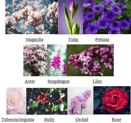 2 Check the description find out which flowers are described and fill in the - фото 20