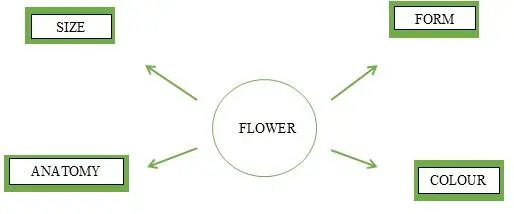 4 Match anatomic words and definitions 5 Match preposition of place with - фото 21