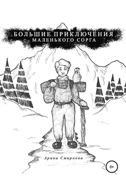 Арина Смирнова Большие приключения маленького сорга обложка книги