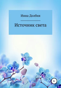 Инна Долбня Источник света обложка книги