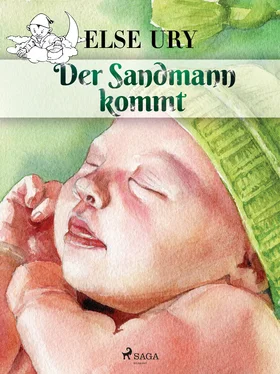 Else Ury Der Sandmann kommt обложка книги