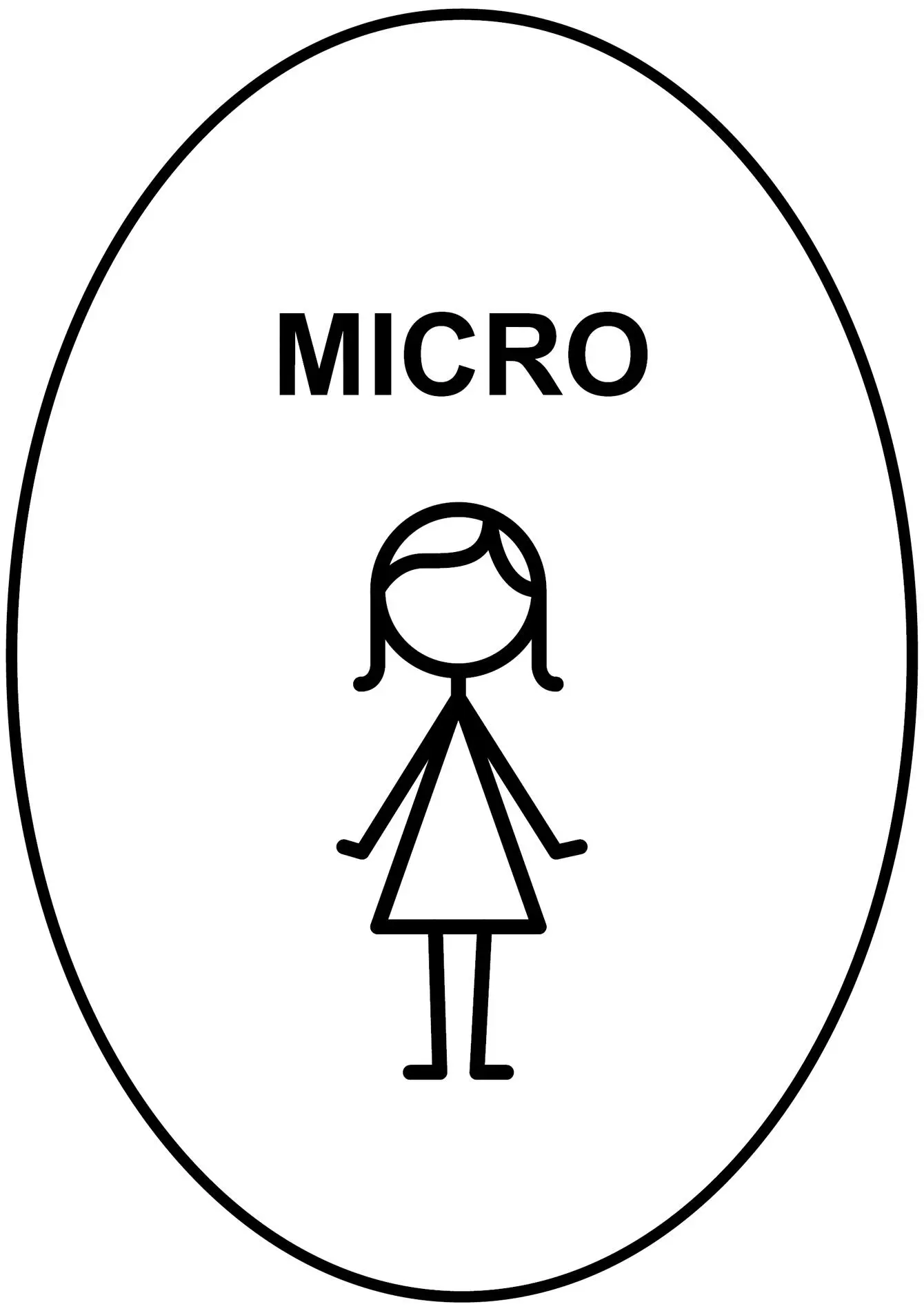 MICRO Level The individual participating preschool teachers individual - фото 27