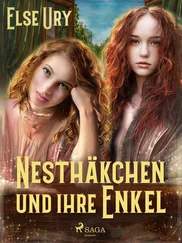 Else Ury - Nesthäkchen und ihre Enkel