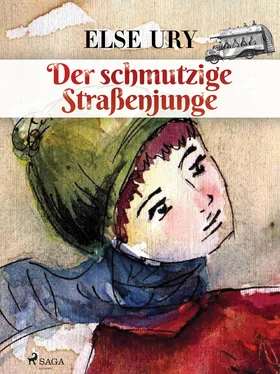Else Ury Der schmutzige Straßenjunge обложка книги