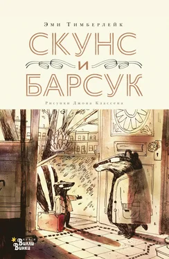 Эми Тимберлейк Скунс и Барсук обложка книги