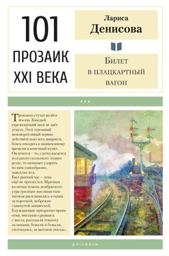 Лариса Денисова Билет в плацкартный вагон обложка книги