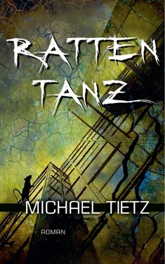 Michael Tietz Rattentanz обложка книги