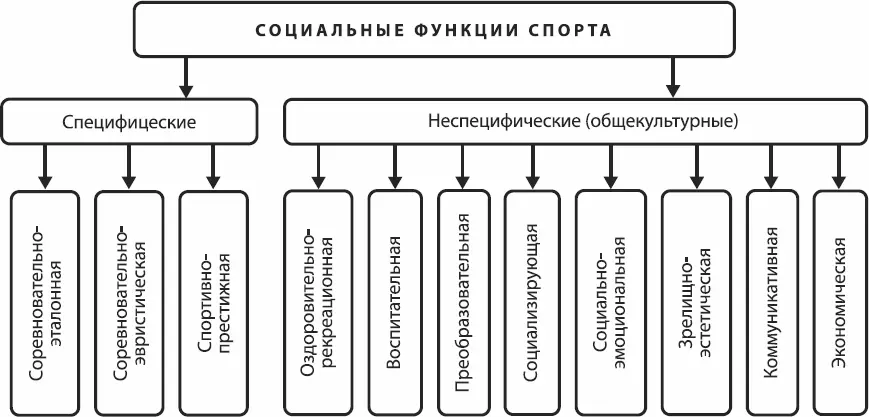 Рис 12Социальные функции спорта К специфическим функциям спорта - фото 2