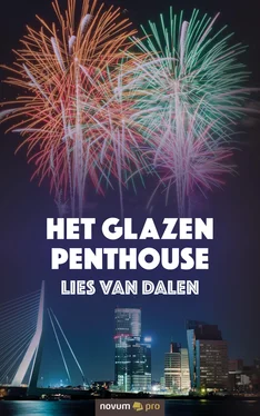 Lies van Dalen Het glazen penthouse обложка книги