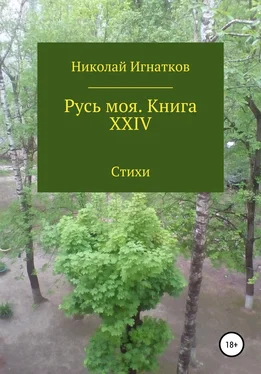 Николай Игнатков Русь моя. Книга XXIV обложка книги