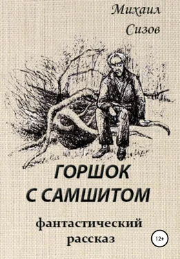 Михаил Сизов Горшок с самшитом обложка книги
