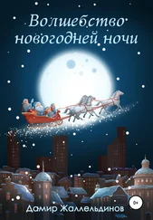 Дамир Жаллельдинов - Волшебство новогодней ночи
