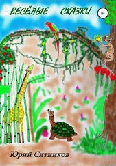 Юрий Ситников - Весёлые сказки