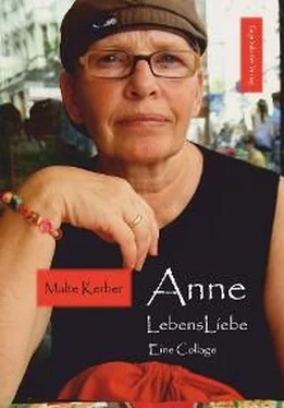 Malte Kerber Anne LebensLiebe обложка книги