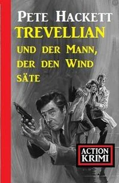 Pete Hackett Trevellian und der Mann, der den Wind säte: Action Krimi обложка книги