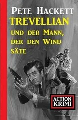 Pete Hackett - Trevellian und der Mann, der den Wind säte - Action Krimi