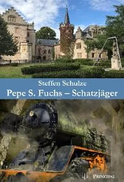 Steffen Schulze Pepe S. Fuchs - Schatzjäger обложка книги