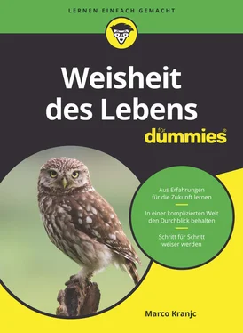 Marco Kranjc Weisheit des Lebens für Dummies обложка книги