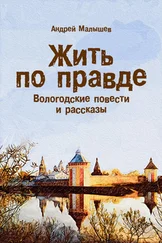 Андрей Малышев - Жить по правде. Вологодские повести и рассказы