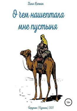 Пиня Копман Что нашептала мне пустыня обложка книги