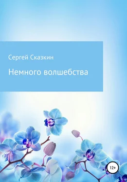 Сергей Сказкин Немного волшебства обложка книги
