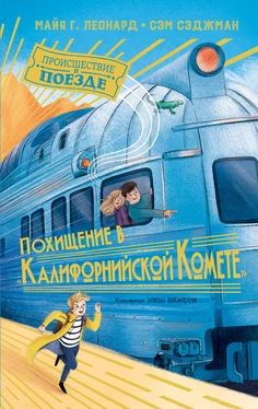 Майя Габриэль Леонард Похищение в «Калифорнийской комете» обложка книги